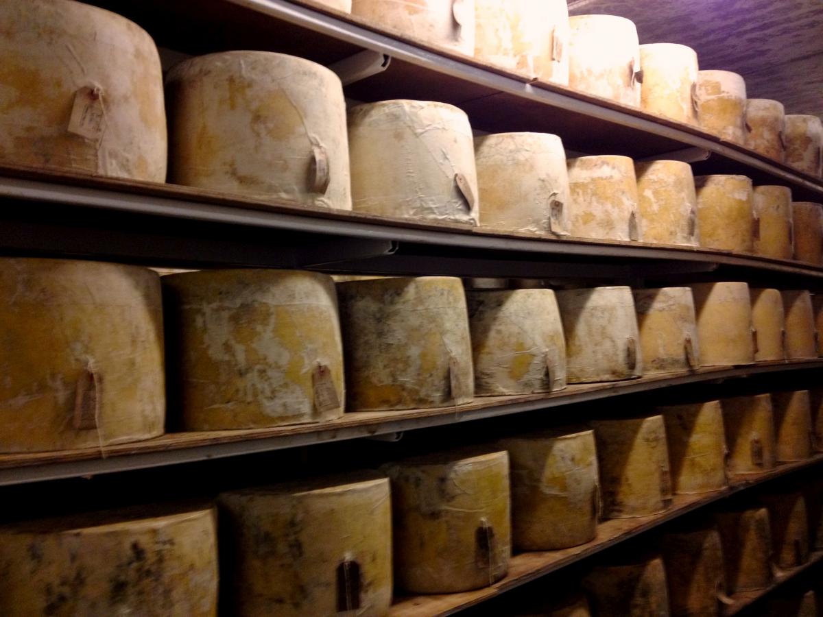 The Ultimate Food Tour of Scotland's Oban and Mull